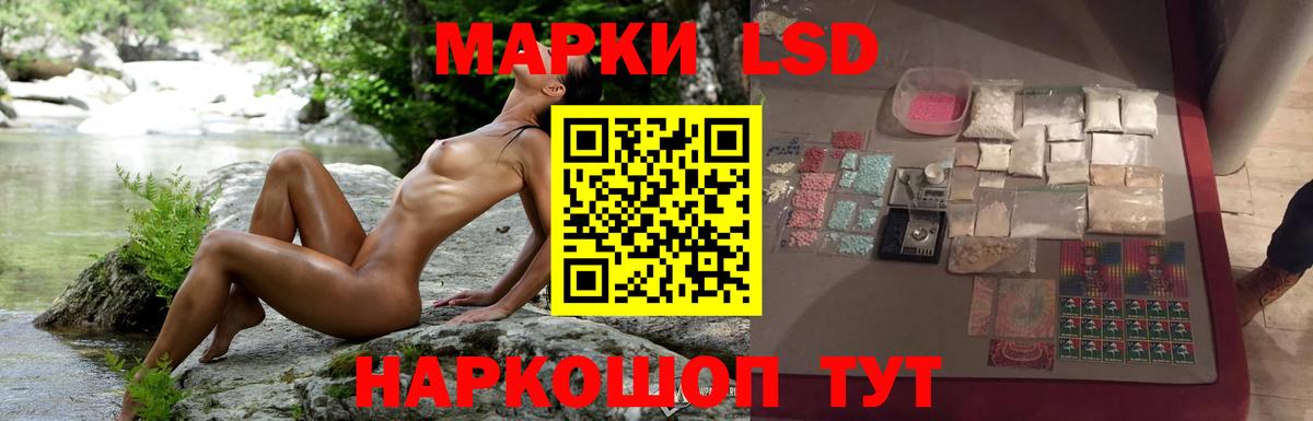 ЛСД экстази кислота  LSD-25 экстази ecstasy  Карачаевск  Вход с VPN 