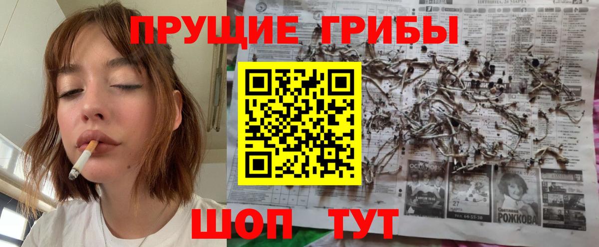 Псилоцибиновые грибы GOLDEN TEACHER  Вход с VPN  Карачаевск 